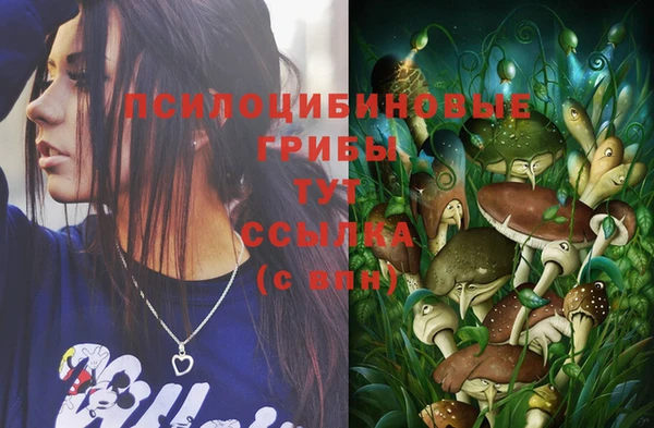 герыч Алексин