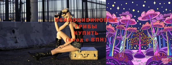 шишки Пестово
