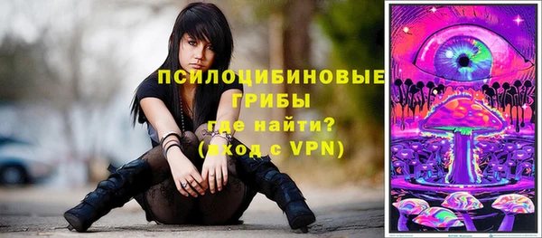 скорость Пересвет